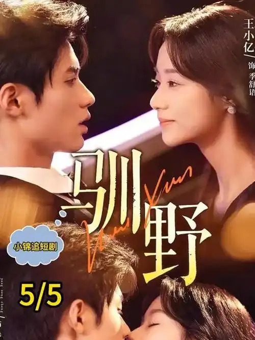 热门短剧退婚后我成了首富